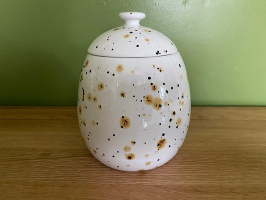 CookieBiscuit Jar Canister Confetti Glaze