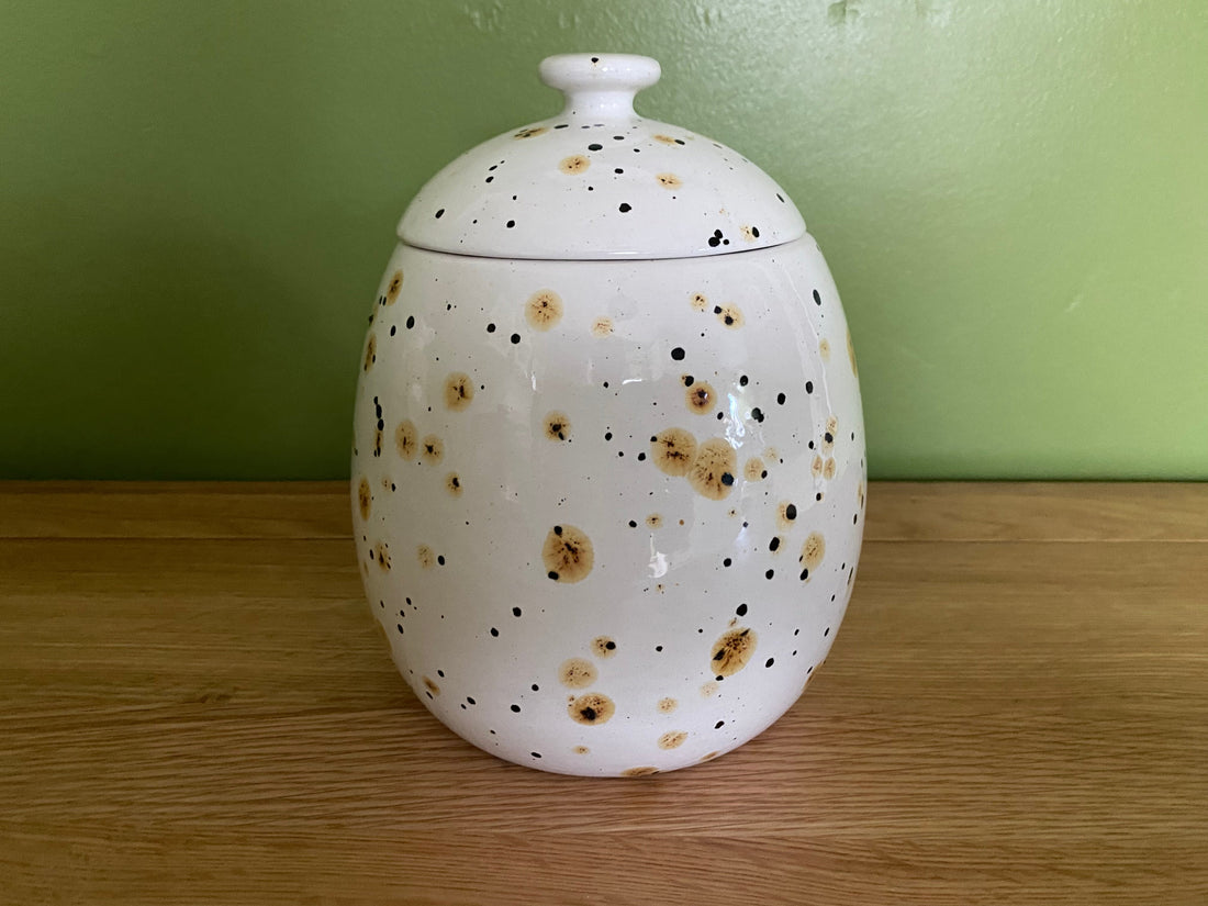 CookieBiscuit Jar Canister Confetti Glaze