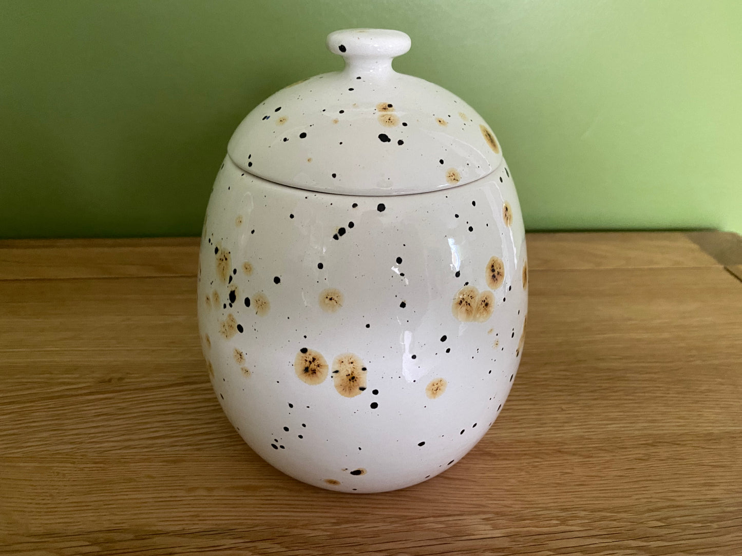 Cookie/Biscuit Jar Canister Confetti Glaze