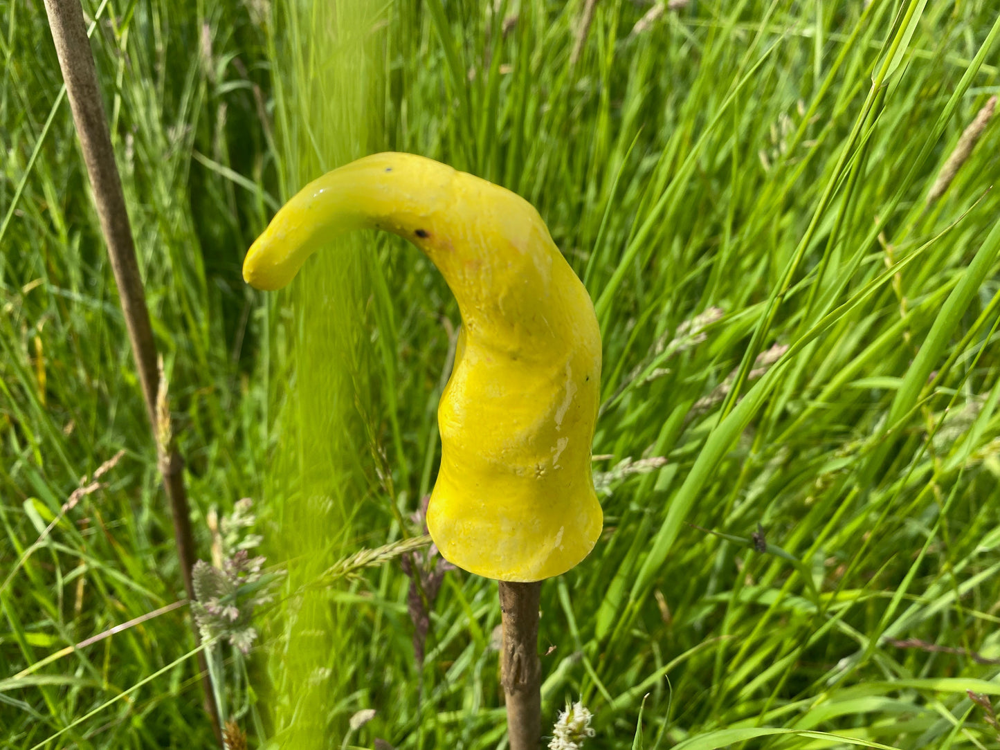 Ceramic Mushrooms Cane Toppers