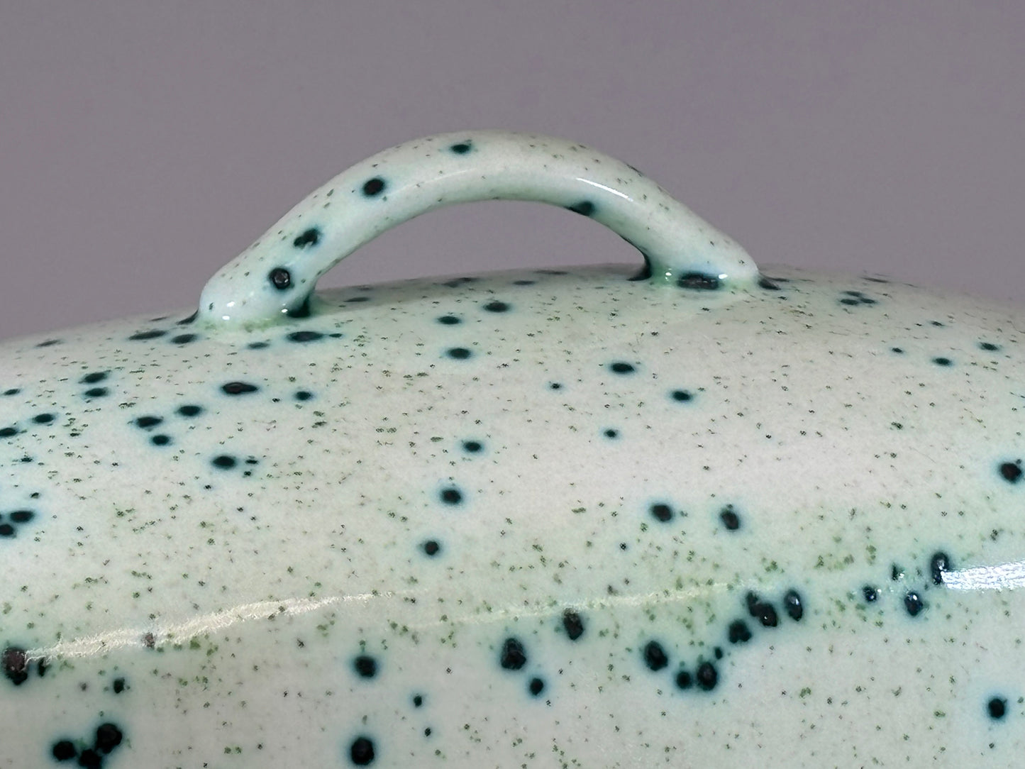 Speckled Green Butter Dish with Handle