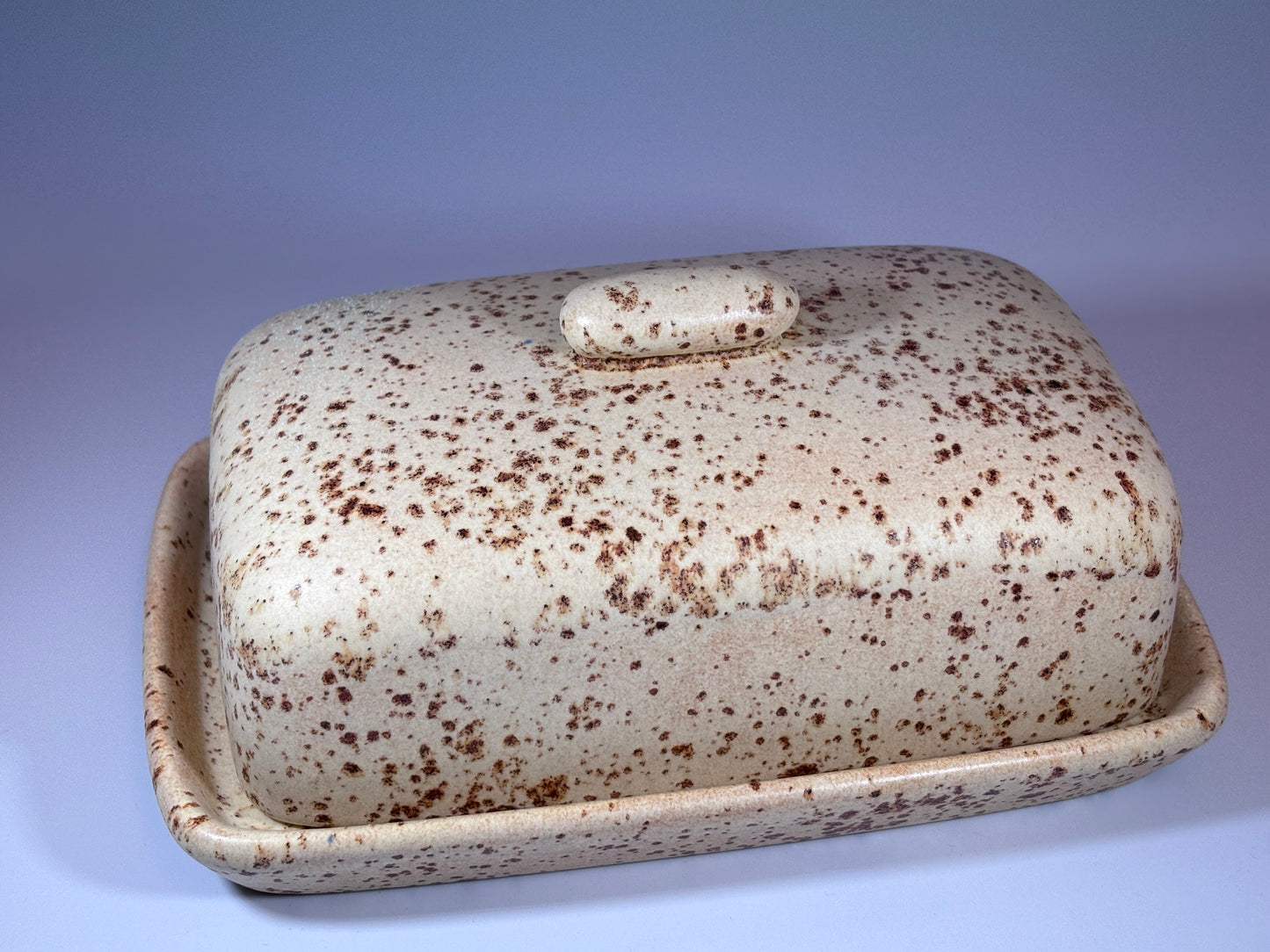 Spotty Butter Dish #1 Bargain Basement Priced