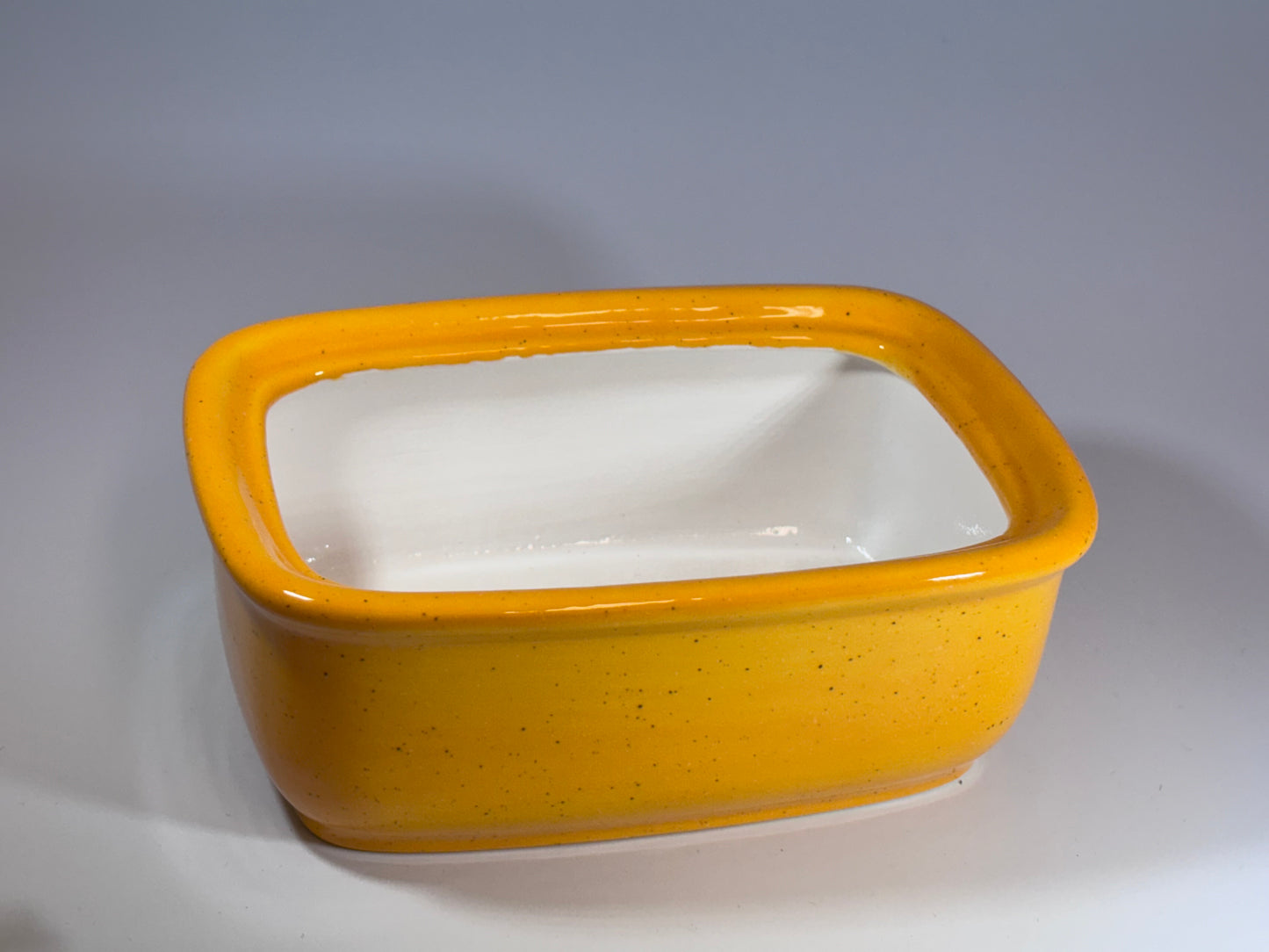 Butter Dish with Lid - Speckled Yellow