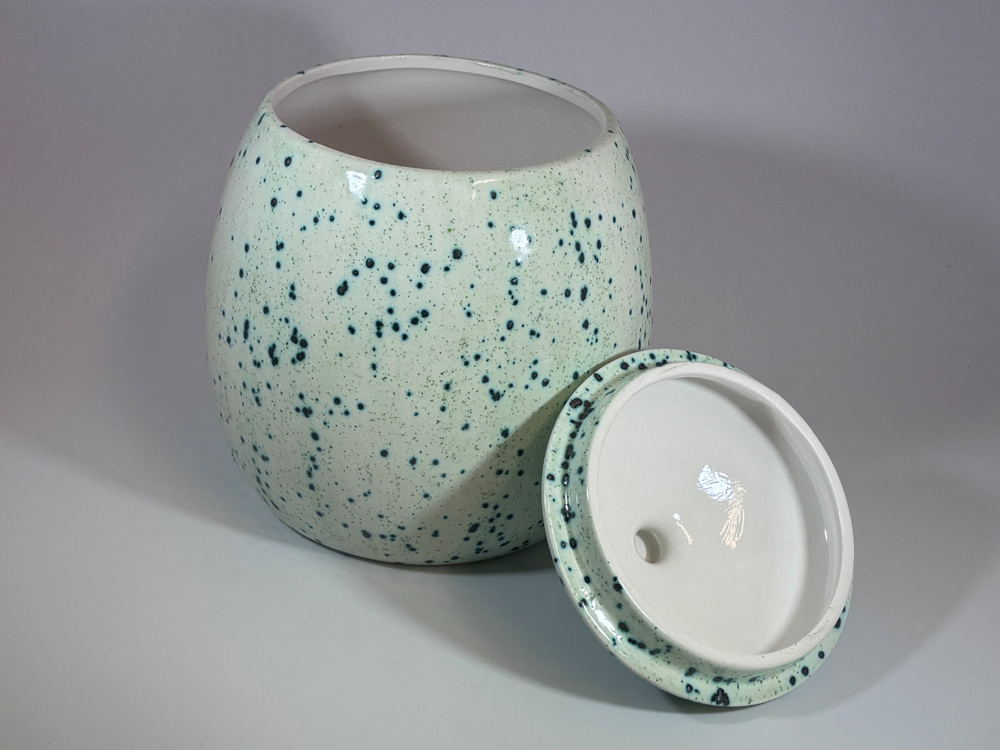 Cookie/Biscuit Jar Canister Speckled Green