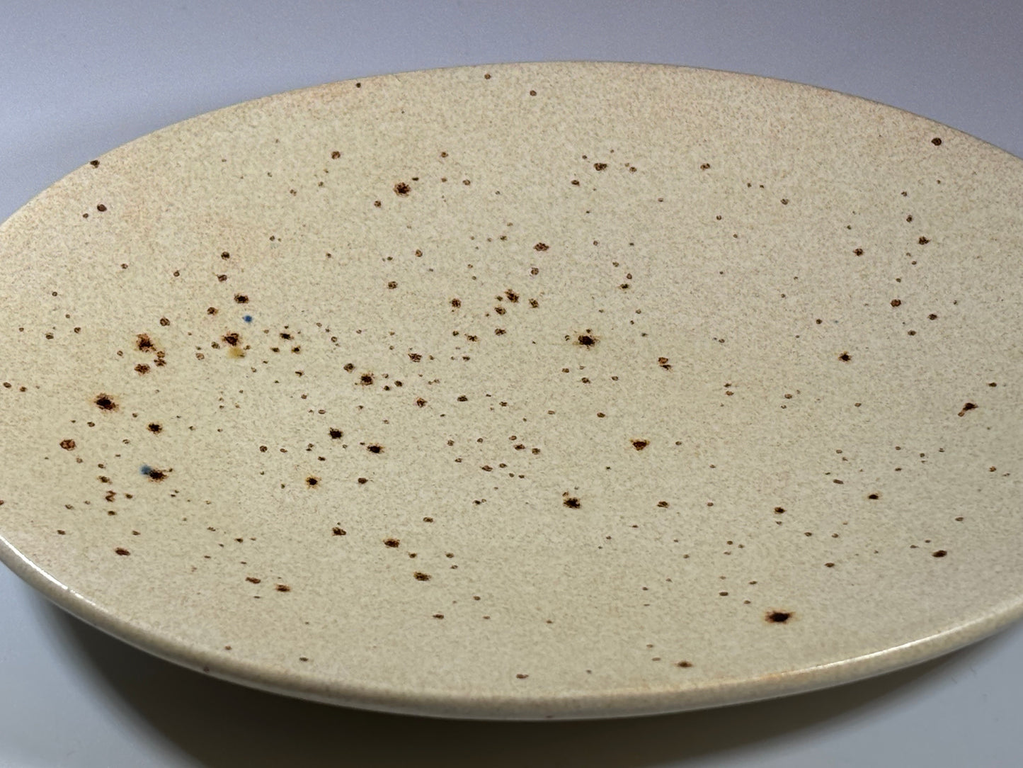 Soap Dish Oatmeal - Bargain Basement Priced