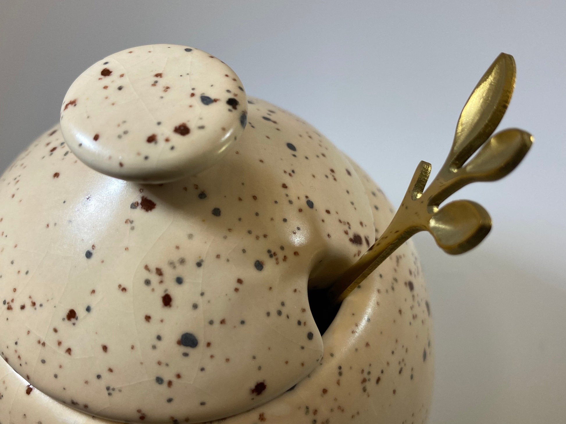 Sugar Bowl with Spoon Honey Speckle Glaze - PeterBowenArt